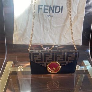Fendi Black and Brown Women's Bag
